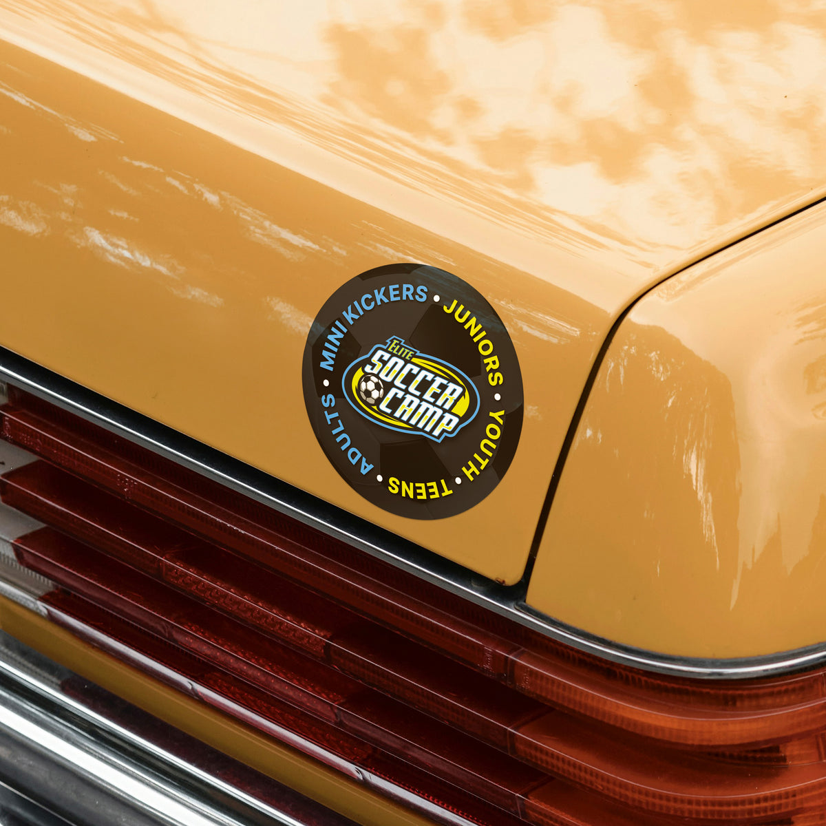 Indoor Sign Sticker INDOOR STICKERS - ROUND – DOPE Marketing