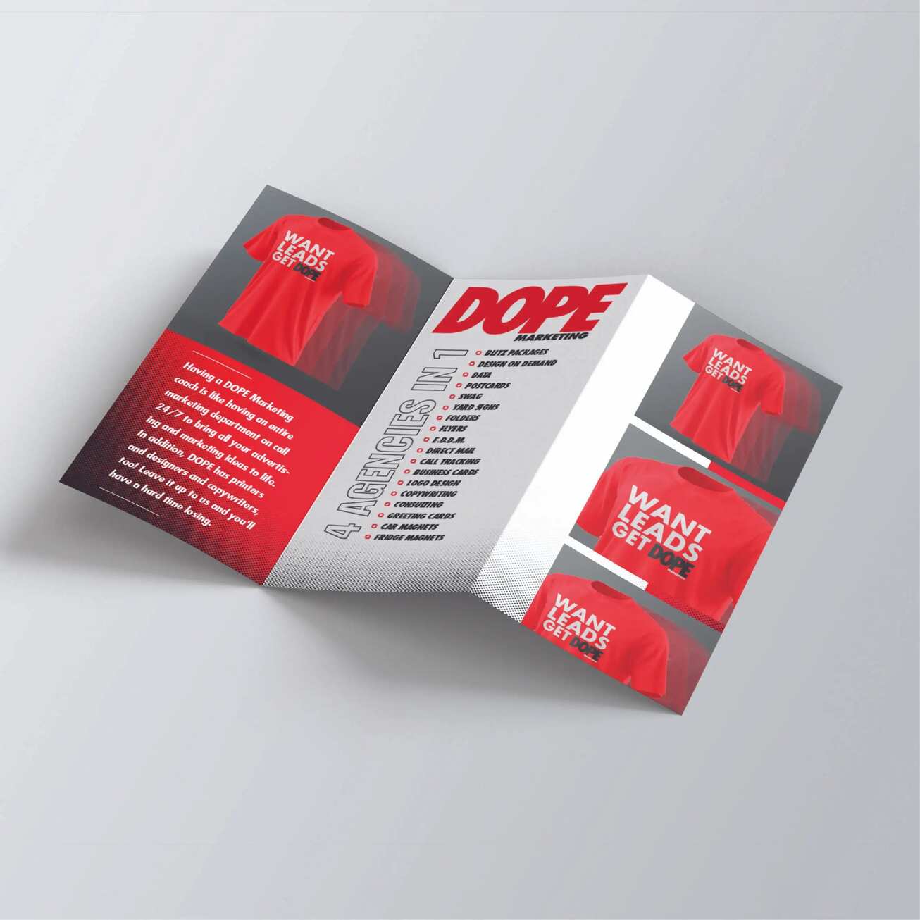 TRI FOLD BROCHURES